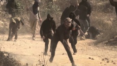 Οι ΗΠΑ ζητούν από το Ισραήλ να σταματήσει τη βία των εποίκων στη Δυτική Όχθη  
