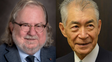 Ανοσοθεραπεία για τον καρκίνο: Ένα σημαντικό όπλο στη μάχη εναντίον της νόσου