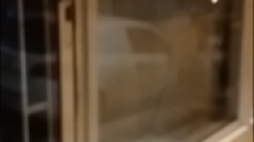 Τα «Πασχαλινα Σφυριά» έσπασαν βιτρίνα κρεοπωλείου στα Εξάρχεια