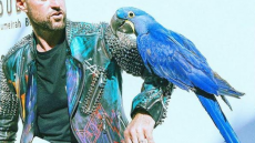 Μύκονος: Ο παπαγάλος των 30.000 ευρώ και άλλες ιστορίες τρέλας