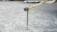 Αναστάτωση από φίδι που «επισκέφτηκε» εκλογικό κέντρο στη Βόνιτσα