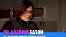 Σούζαν Ίτον: Δείτε σε βίντεο την αδικοχαμένη βιολόγο να μιλά για την επιστήμη που τόσο αγαπούσε