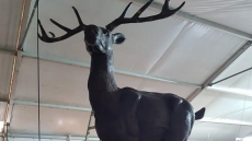 Κατερίνη: Έφτιαξαν το μεγαλύτερο σοκολατένιο ελάφι του κόσμου 