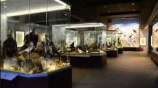 Δύο βραβεία στα Tourism Awards για το Μουσείο Φυσικής Ιστορίας και Μανιταριών στα Μετέωρα 