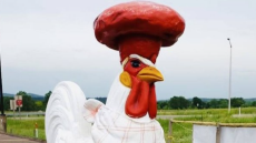 ΗΠΑ: Αμοιβή $1000 προσφέρει εστιάτορας για να πάρει πίσω ένα... τεράστιο άγαλμα κόκορα