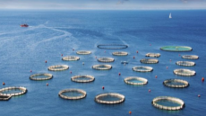 Μεσολόγγι:  Νεκρός 48χρονος εργαζόμενος σε ιχθυοκαλλιέργεια