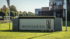 Η Monsanto καταδικάστηκε να πληρώσει πρόστιμο 857 εκατ. δολαρίων για την έκθεση πολιτών σε «αιώνια» χημικά PCB