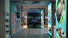 Ένα ψηφιακό «ταξίδι» στο οικοσύστημα του Αμβρακικού	