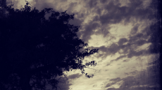 «Κι αν έσβησε σαν ίσκιος… »: Ο Γιώργος Νταλάρας ερμηνεύει Καρυωτάκη