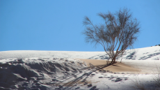 Ο καιρός... τρελάθηκε, στα λευκά από το χιόνι η έρημος Σαχάρα - Δείτε φωτογραφίες
