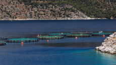 Λαϊκή Ενότητα: Αντιδράσεις για την επέκταση των ιχθυοκαλλιεργειών στη δυτική Αιτωλοακαρνανία