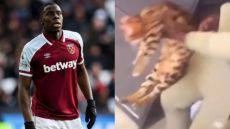 H Γουέστ Χαμ ξεπούλησε τα περιλαίμια γάτας μετά την κακοποίηση του ζώου από τον Ζουμά 