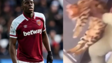  Ποινική δίωξη στον Ζουμά για την κακοποίηση της γάτας 