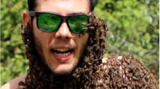 «Δεν με τσίμπησαν» λέει ο viral μελισσοκόμος που άφησε χιλιάδες μέλισσες στο κορμί του