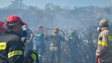 Δασικές πυρκαγιές στην Ελλάδα: Καίγονται εκτάσεις από τον Απρίλιο, σημαντική αύξηση το πρώτο τρίμηνο του 2022