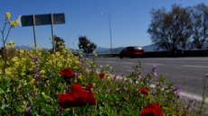 Καιρός: Πασχαλινή έξοδος με ηλιοφάνεια και υψηλές θερμοκρασίες, τι καιρό θα έχουμε αύριο 