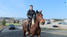 Γαλλία: Νεαρός πηγαίνει στη δουλειά με... άλογο λόγω ενεργειακής κρίσης! - Δείτε βίντεο