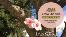 Ομάδες Στήριξης: «Από την ενδοοικογενειακή βία στο έγκλημα»