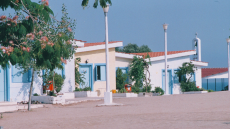 Παιδικές Κατασκηνώσεις - ΔΗΠΑ/ΟΑΕΔ: Βγήκαν τα προσωρινά αποτελέσματα