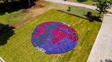 Παγκόσμια Ημέρα Περιβάλλοντος: Άνθινη υδρόγειος με 5.000 εποχιακά φυτά