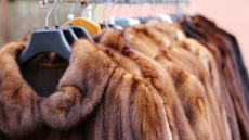 Επιδόματα: Eπιστρέφει η ενίσχυση των 534 ευρώ στον κλάδο της γουνοποιίας