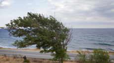 Καιρός: Άνεμοι έως οκτώ μποφόρ στο Αιγαίο -  Τοπικά φαινόμενα στην Κρήτη έως την Τετάρτη