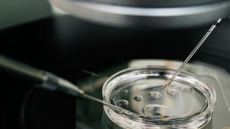 Υποβοηθούμενη Αναπαραγωγή: Τι προτείνουν οι ειδικοί για τα «εγκαταλελειμμένα» έμβρυα