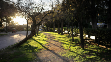 Καιρός: Έρχονται αλκυονίδες ημέρες με 20άρια - Ζέστη και ήλιος από την Παρασκευή