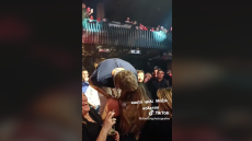 Γιώργος Μαζωνάκης: Το καυτό φιλί του στη Χριστίνα Κολέτσα - Βίντεο