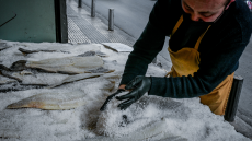 Τι είπε για το «καλάθι του Πάσχα και του νονού» ο Παπαθανάσης - «Στα 4,98 ευρώ ο κατεψυγμένος μπακαλιάρος»