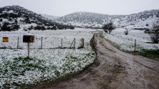 Ενισχύσεις: Πληρώνονται οι αποζημιώσεις ΕΛΓΑ άνω των 60 εκατ. για ζημιές του 2022