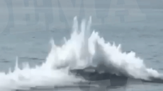 Καβάλα: Βατραχάνθρωποι του Πολεμικού Ναυτικού εξουδετερώνουν νάρκες του Β΄ Παγκοσμίου Πολέμου σε παραλία - Δείτε βίντεο