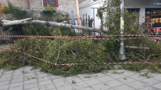 Στις 288 οι κλήσεις στην Πυροσβεστική ανά την Ελλάδα το Σάββατο