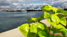 Καιρός: Επιστροφή στις βροχές και το κρύο μετά τις Αλκυονίδες - Έρχεται κακοκαιρία ξανά από την Κυριακή 