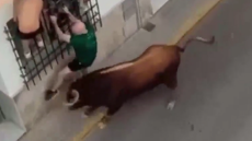 Βίντεο: Ταύρος επιτέθηκε σε 57χρονο σε ισπανικό φεστιβάλ και τον σκότωσε