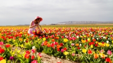 Γιατί τα λουλούδια έχουν τόσο βαθύ νόημα στη ζωή μας;