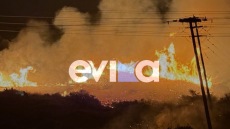 Υπό μερικό έλεγχο η φωτιά σε δασική έκταση στα Μεσοχώρια Εύβοιας 