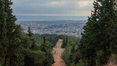 Έσφαξε και έγδαρε αρνί στο Σέιχ-Σου για να τηρήσει ένα έθιμο - Δίωξη σε 52χρονο
