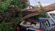 Η κακοκαιρία Byron χτυπάει και τη Ρόδο με πτώσεις δέντρων και δυνατούς ανέμους