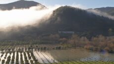 Υπερχείλισε ο ποταμός Καλαμάς στην Ήπειρο, ζημιές σε καλλιέργειες και ανησυχία για τη νέα κακοκαιρία