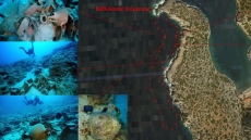 Φούρνοι: Δύο νέοι, επισκέψιμοι υποβρύχιοι αρχαιολογικοί χώροι με ναυάγια από τον 6ο αιώνα π.Χ - Δείτε φωτογραφίες