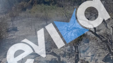 Σύλληψη και πρόστιμο 1.031 ευρώ σε 56χρονο μετά από φωτιά από αμέλεια στην Εύβοια  
