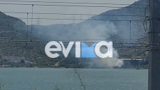 Υπό έλεγχο η φωτιά σε ξερά χόρτα από εργοστάσιο στη Χαλκίδας