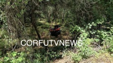 Νεκρός 42χρονος Βρετανός τουρίστας σε τροχαίο με γουρούνα στην Κέρκυρα, σοβαρά τραυματισμένος ο 15χρονος γιος του
