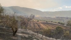 Εκδηλώθηκαν 40 αγροτοδασικές πυρκαγιές το τελευταίο εικοσιτετράωρο, η ενημέρωση της Πυροσβεστικής
