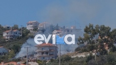 Κατεσβέσθη η φωτιά στην Ακτή Νηρέως στην Εύβοια