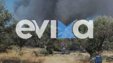 Χωρίς ενεργό μέτωπο η φωτιά σε δάσος στα Πολιτικά Εύβοιας, δείτε βίντεο και φωτογραφίες