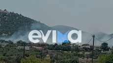 Υπό μερικό έλεγχο η φωτιά στην Εύβοια που ξέσπασε κοντά σε σπίτια και σε εργοστάσιο, ήχησε 112
