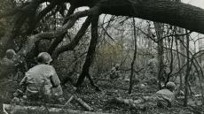 Η μάχη του δάσους Hürtgen, η πιο αιματηρή επιχείρηση των Αμερικανών στην Ευρώπη (Σεπτέμβριος - Δεκέμβριος 1944)