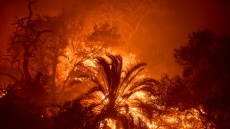 Πυρκαγιές στην περιοχή του Μαλιμπού - Εντολές για εκκένωση οικισμών